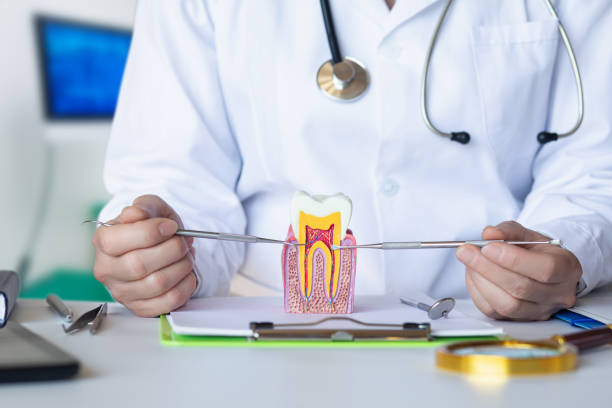 Best Emergency Wisdom Teeth Removal in Stratford, OK